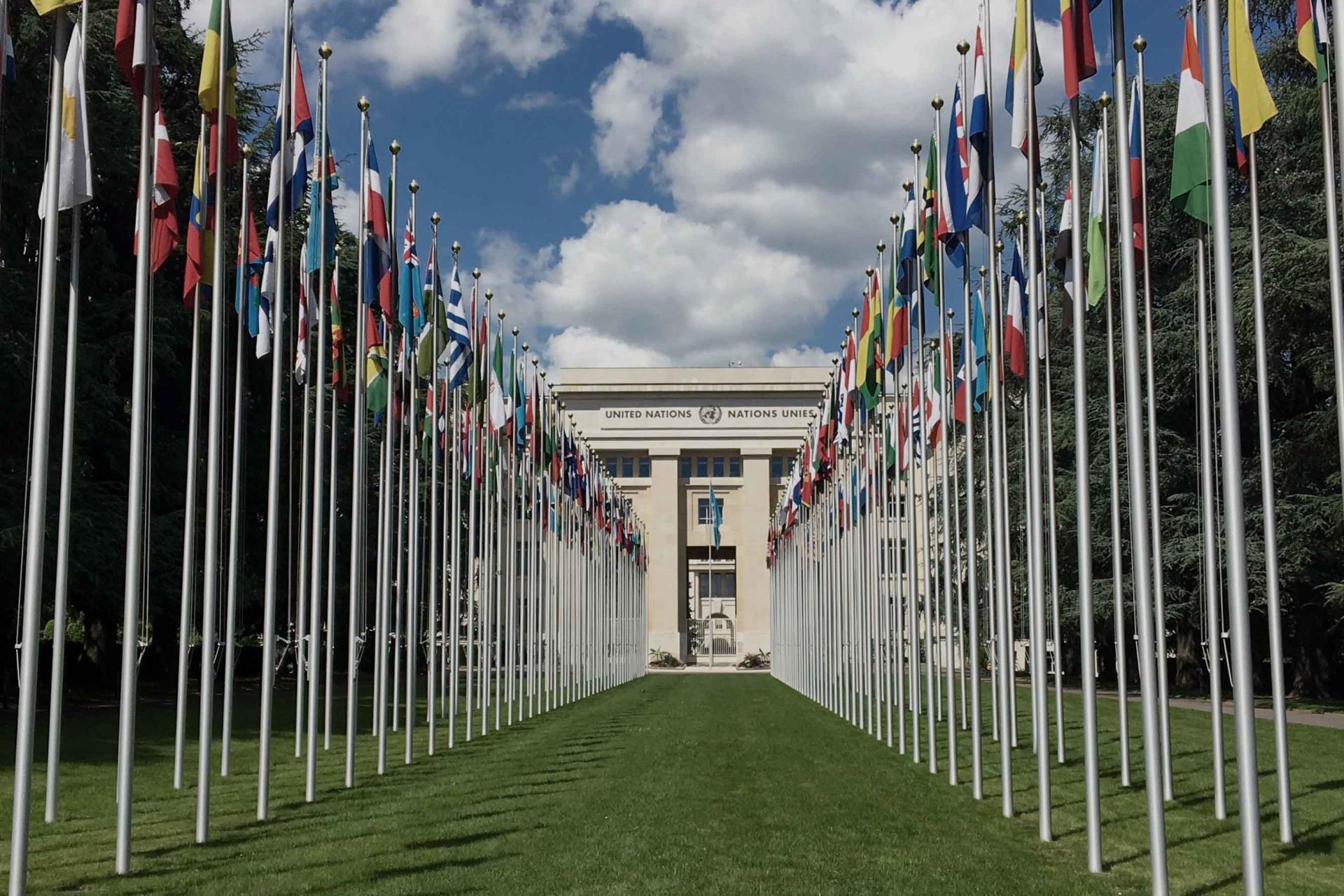 The UN Building