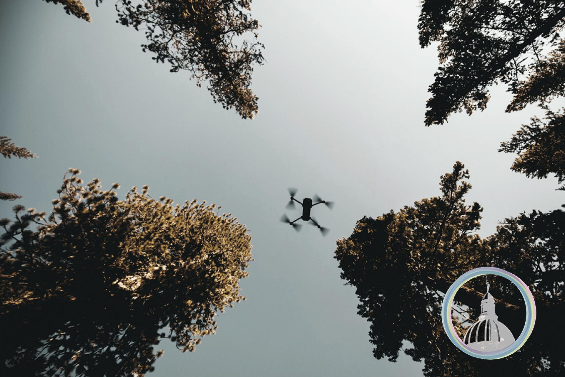 Image of drone in woodland