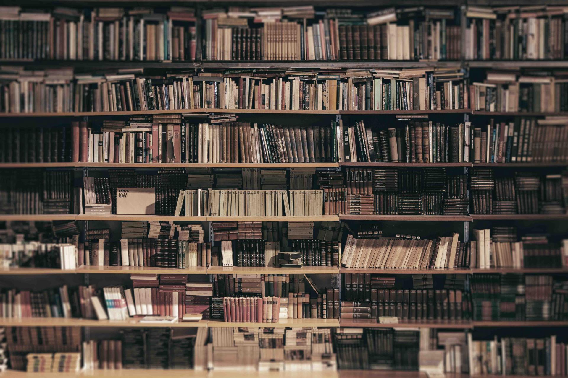 books on shelves