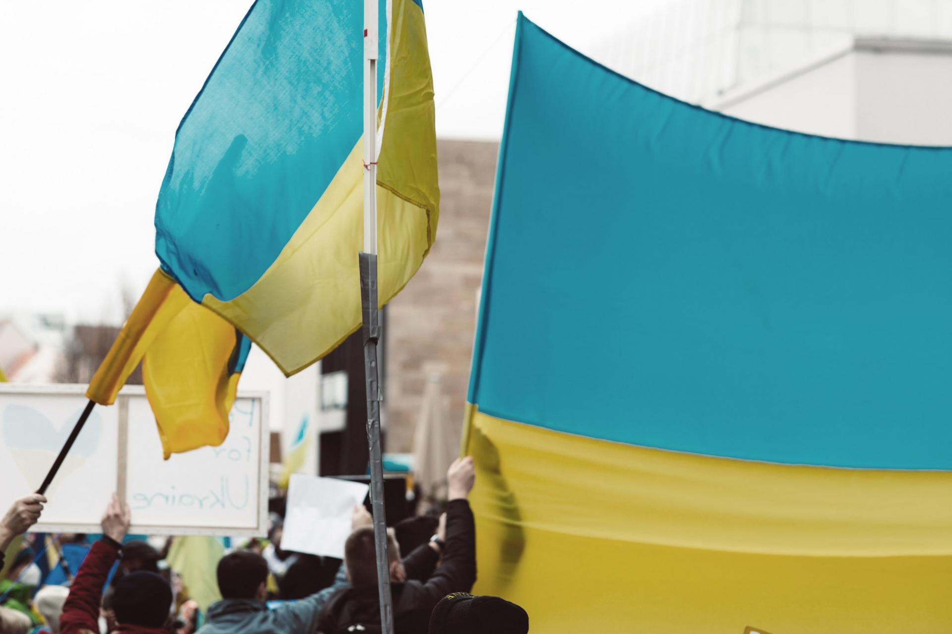 Ukraine flags at protest