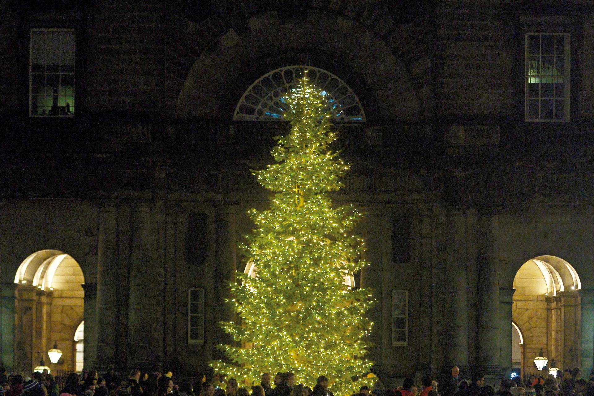 Christmas tree with lights in the quad