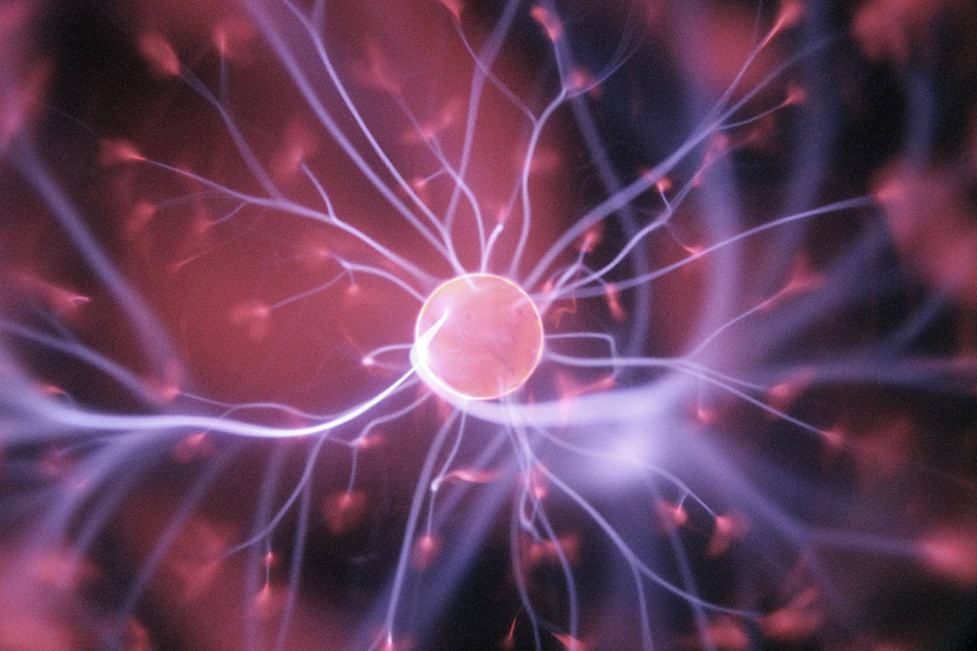 a neuron