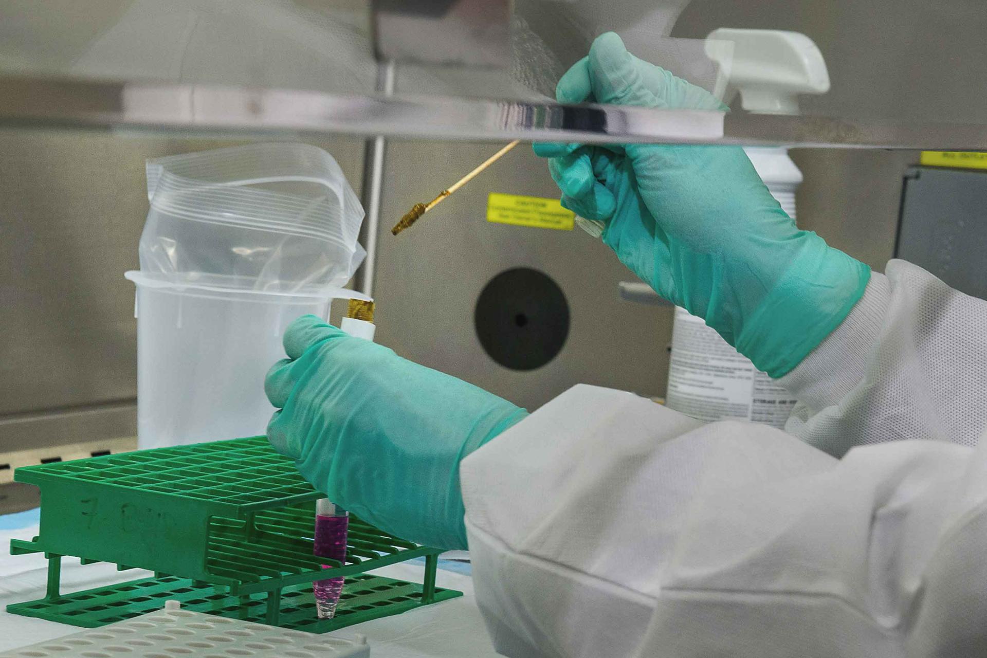a close up of hands using a dropper to add liquid to a test tube