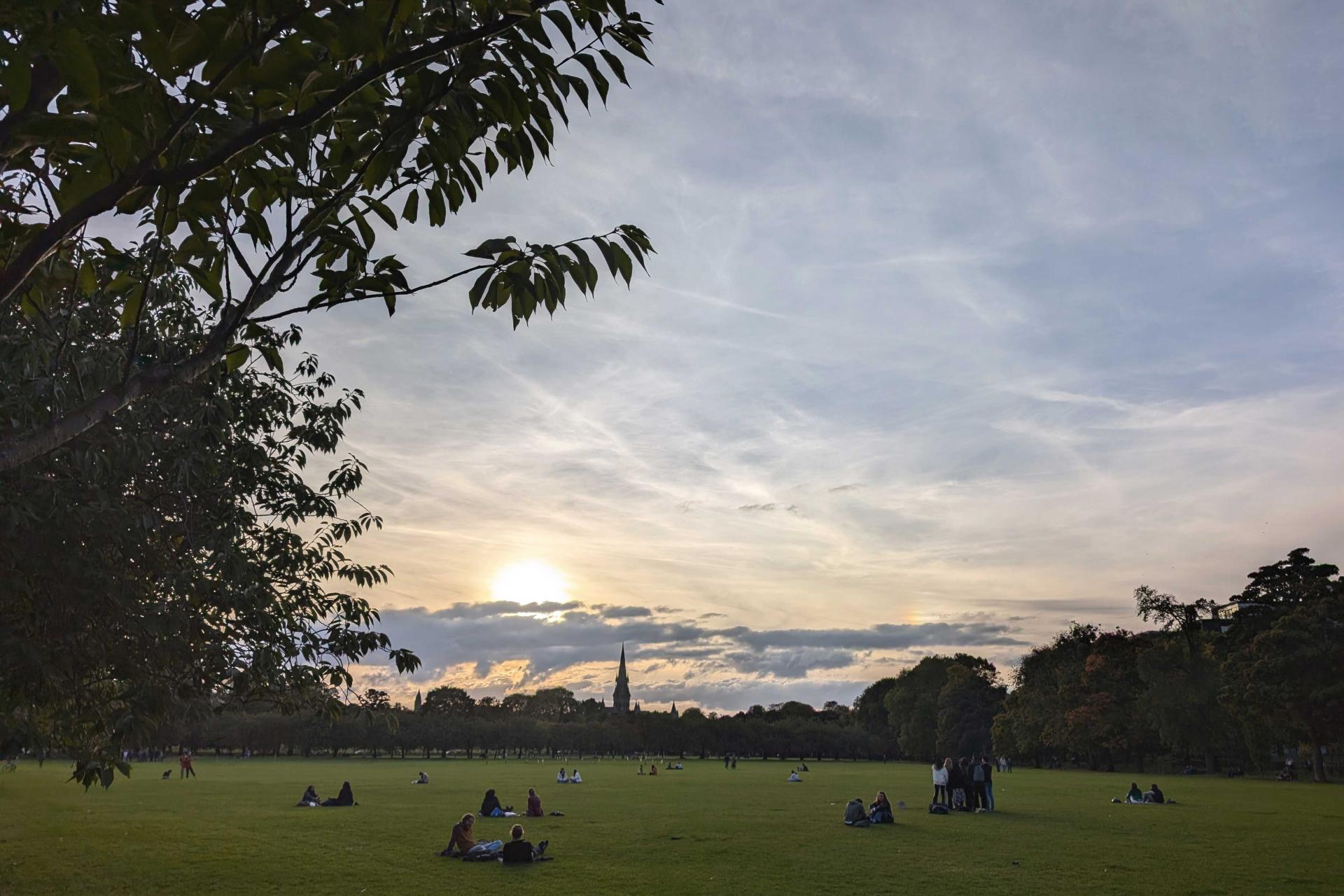 the sun setting over The Meadows