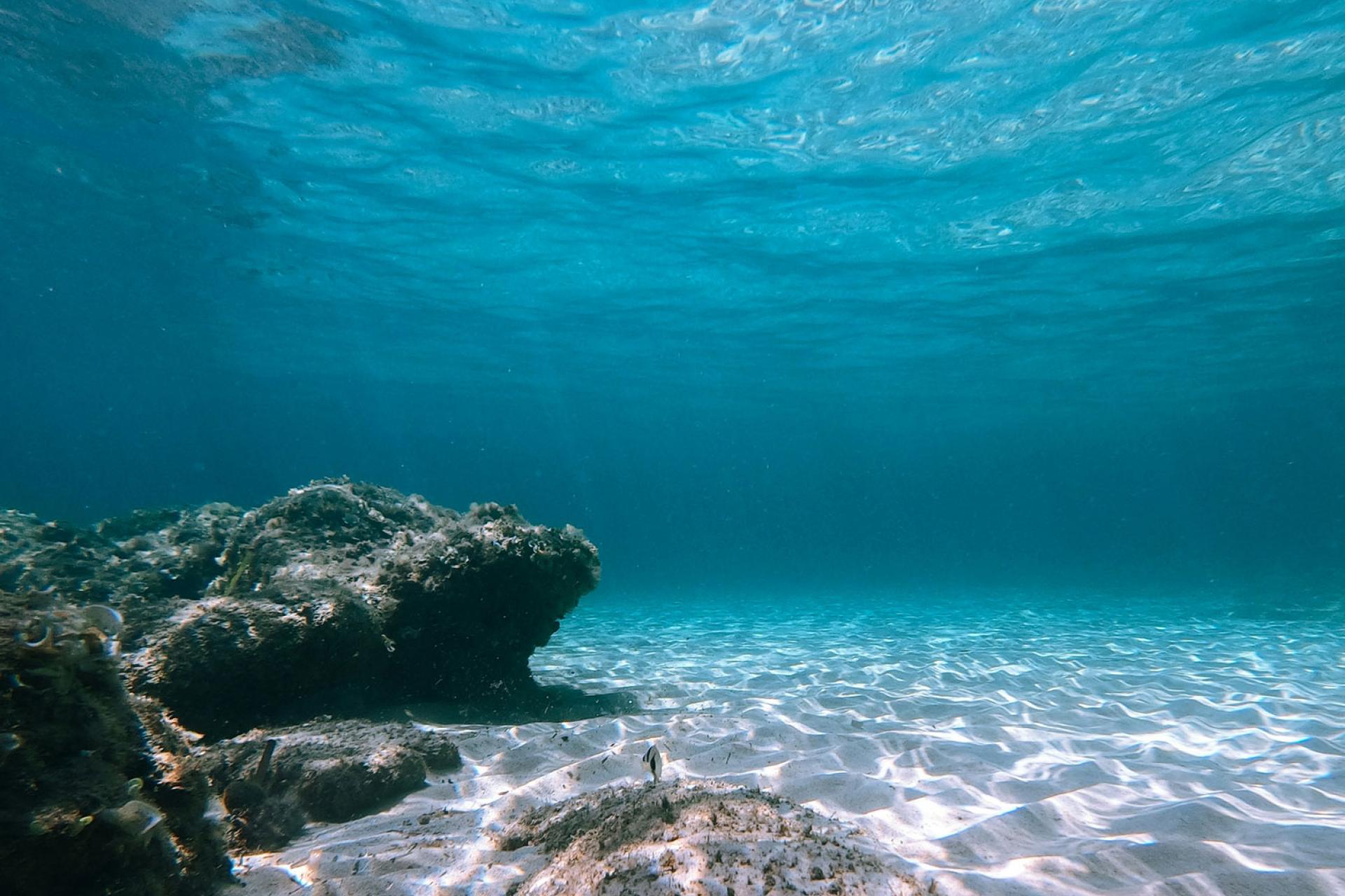 underwater image showing the sand and a rock