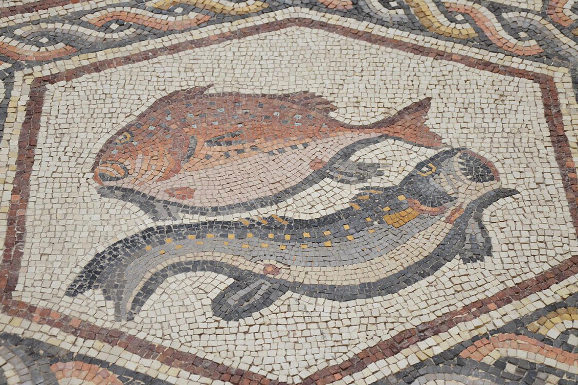 Roman mosaic with two fish one red and one blue