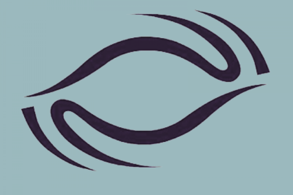 Pilim logo